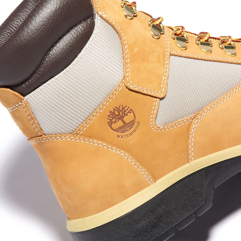 Bototos Timberland Hombre 6-Inch Waterproof Field Marrones/Negras - Chile CDG-269014